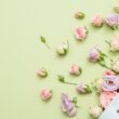 Best Flower Delivery Services for Flower Shipping in Pakistan
